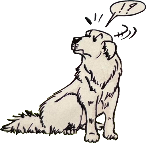 A Disorganized Pile of My Crap